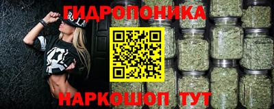дживик Тверь