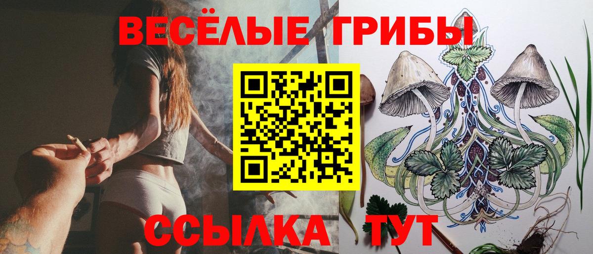 Галлюциногенные грибы Magic Shrooms Октябрьский