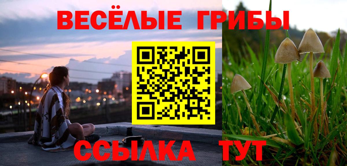 Псилоцибиновые грибы Magic Shrooms  Вход с VPN  Октябрьский  Псилоцибиновые грибы Magic Shrooms 